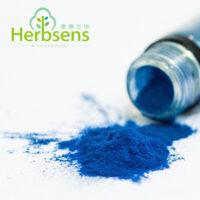 Phycocyanin Powder - Image 4