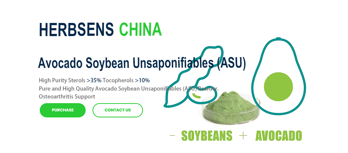 Avocado Soybean Unsaponifiables (ASU) Extract