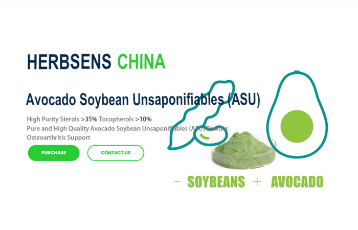 Avocado Soybean Unsaponifiables (ASU) Extract