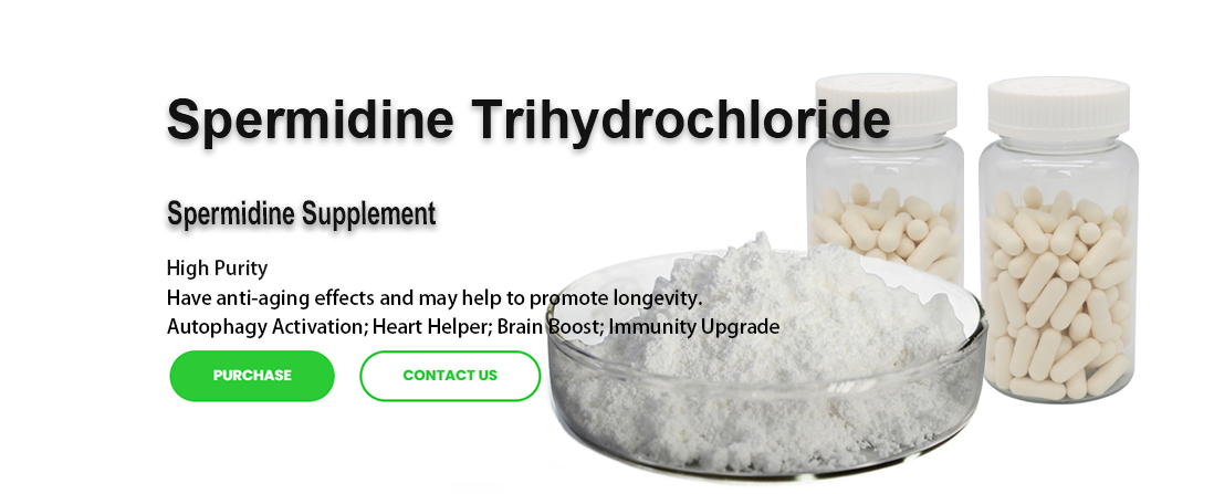 Spermidine Trihydrochloride 99%: High-Purity Anti-Aging Compound for B2B Suppliers