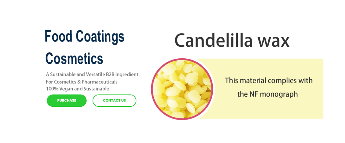 Candelilla Wax: A Sustainable and Versatile B2B Ingredient for Cosmetics & Pharmaceuticals