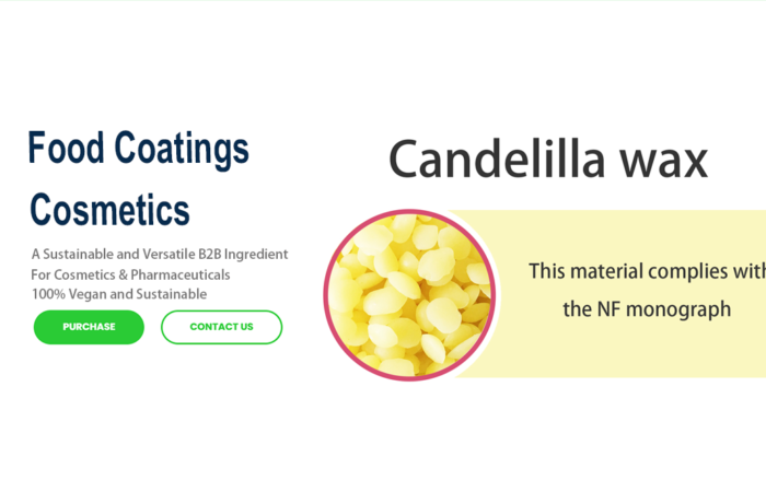 Candelilla Wax: A Sustainable and Versatile B2B Ingredient for Cosmetics & Pharmaceuticals