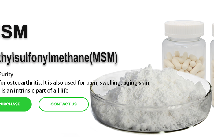 Methylsulfonylmethane (MSM): Benefits, Uses, and Reliable B2B Suppliers