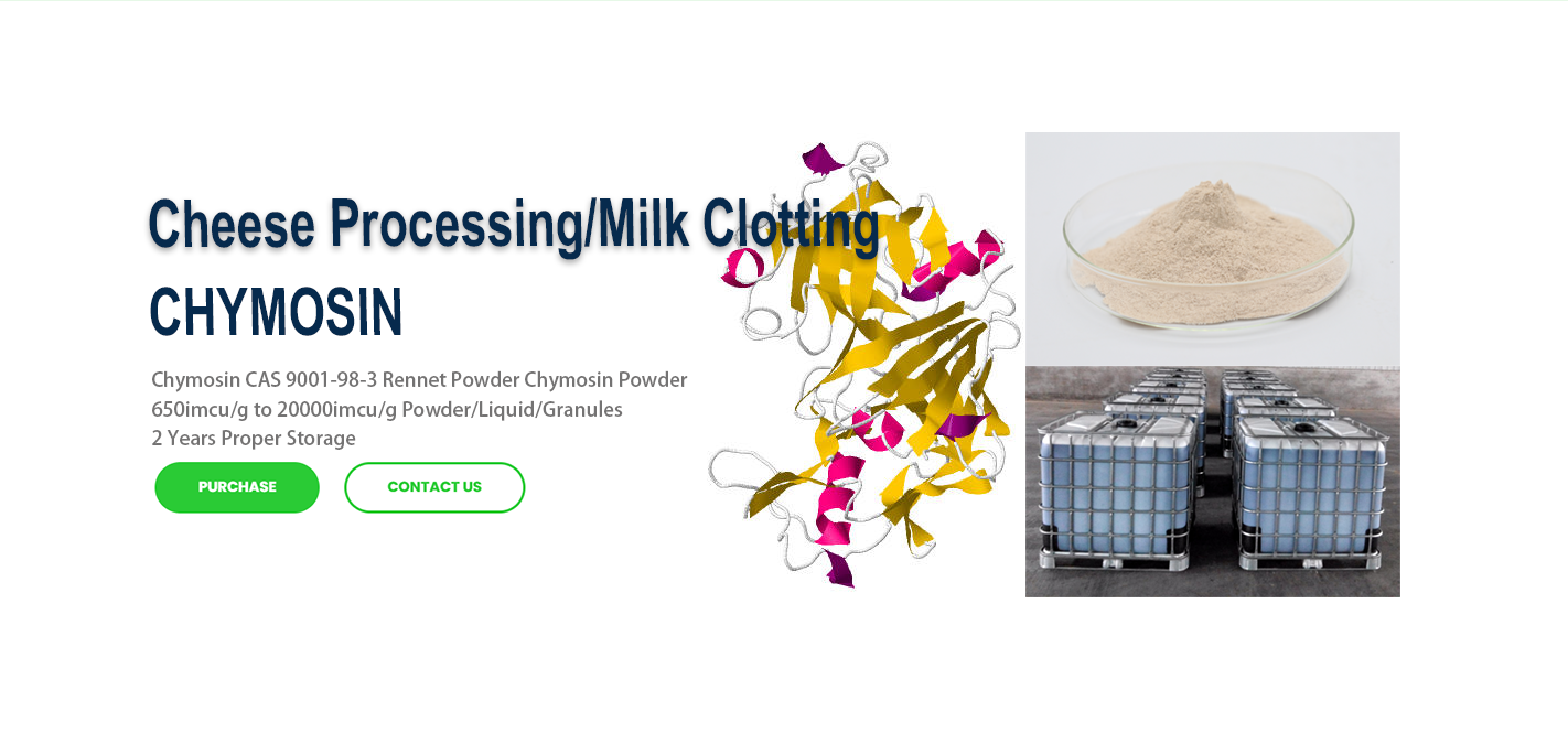 CHYMOSIN Microbial Rennet Chymosin