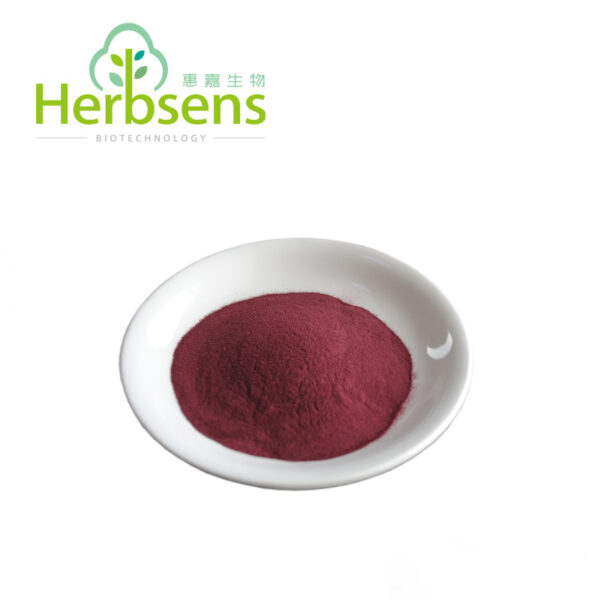 Aronia Extract Powder