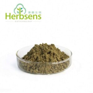 Green Tea Extract Powder
