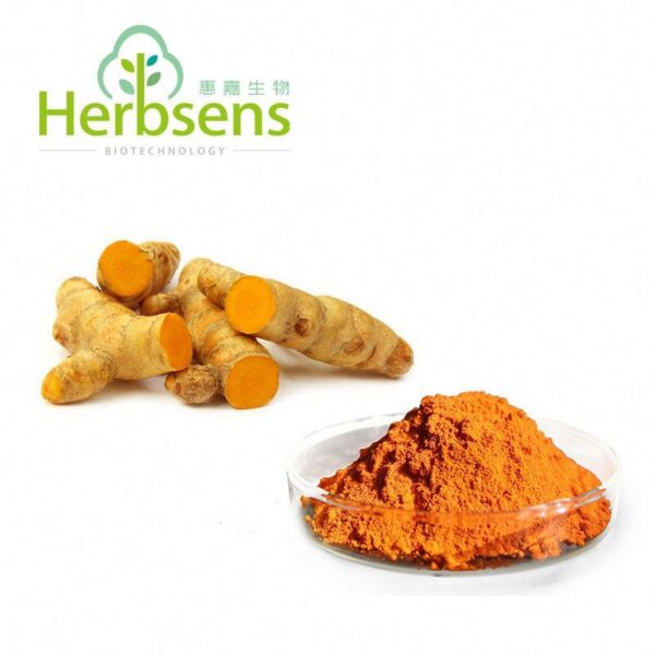 curcumin 95%