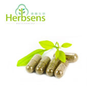 Ginkgo biloba Extract - Image 2