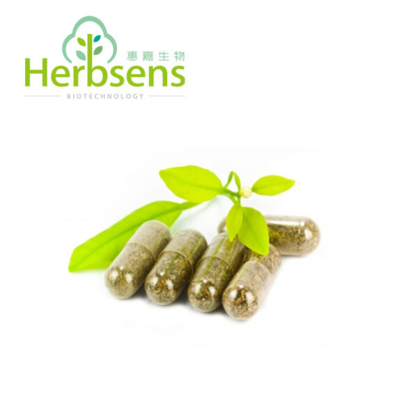 Ginkgo biloba Extract
