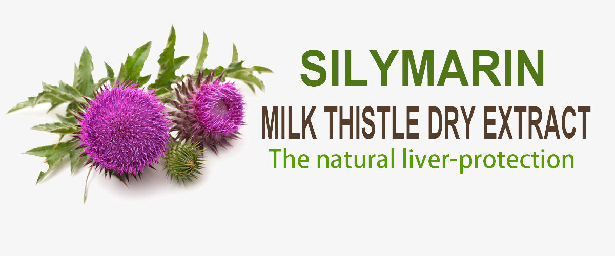Silymarin Extract