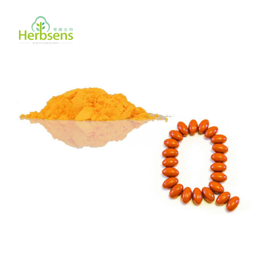 Coenzyme Q10 (Ubiquinone)