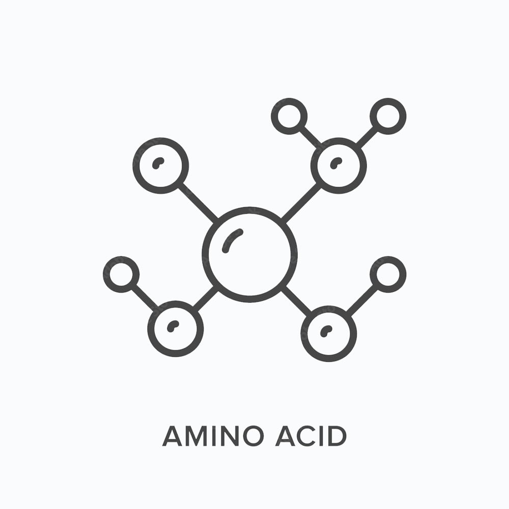 amino-acid